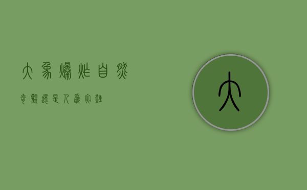 大象爆炸，自然奇观还是人为灾难？