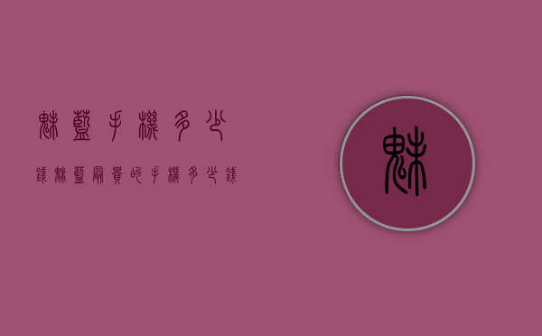 魅蓝手机多少钱（魅蓝最贵的手机多少钱）