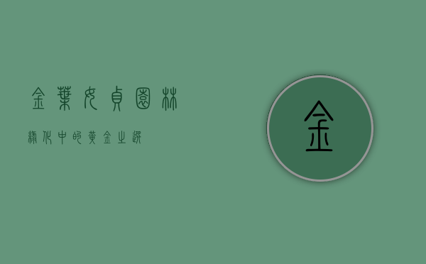 金叶女贞，园林绿化中的黄金之选