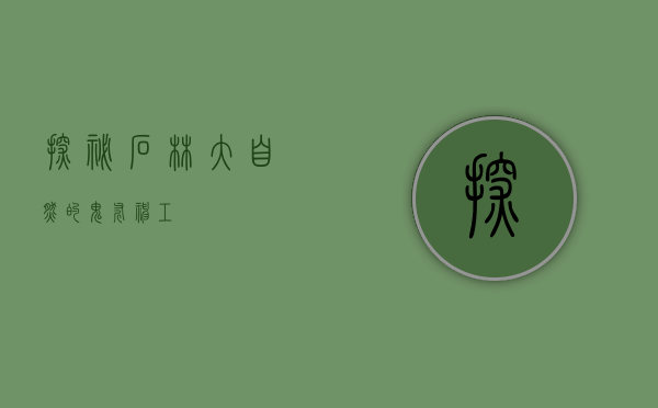 探秘石林，大自然的鬼斧神工