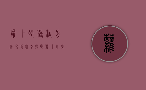 萝卜的种植方法和时间和技术（萝卜怎么种植方法如下）（萝卜怎么种植方法和技术）