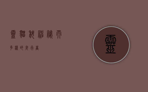 灵猫科，神秘而多样的夜行者
