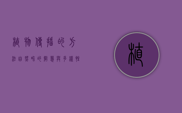 植物传播的方法，自然界的智慧与多样性