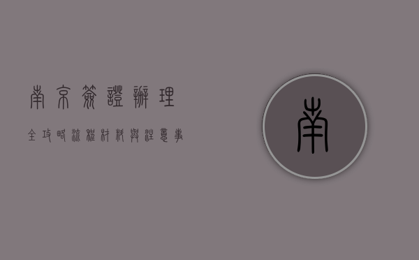 南京签证办理全攻略，流程、材料与注意事项