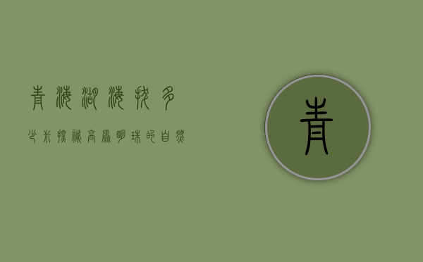 青海湖海拔多少米？探秘高原明珠的自然奇观