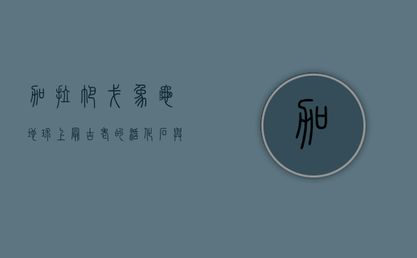 加拉帕戈象龟，地球上最古老的活化石与生态保护的象征