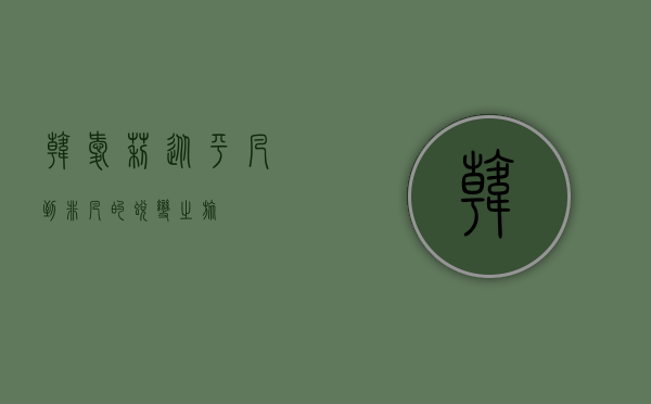 韩爱莉，从平凡到非凡的蜕变之旅