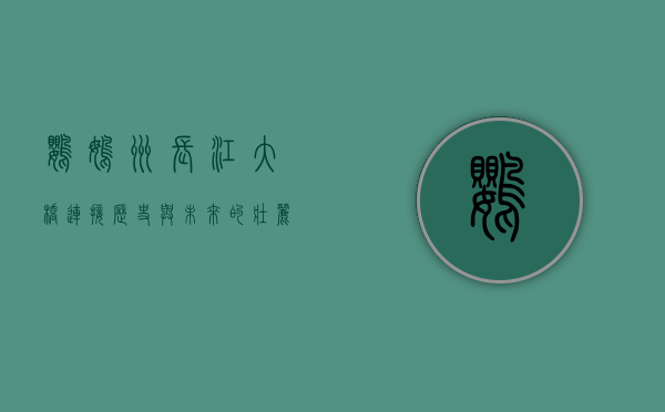 鹦鹉洲长江大桥，连接历史与未来的壮丽纽带
