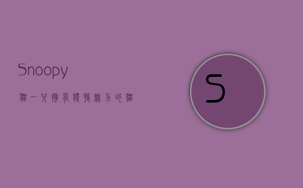 Snoopy猫，一只拥有独特魅力的猫咪