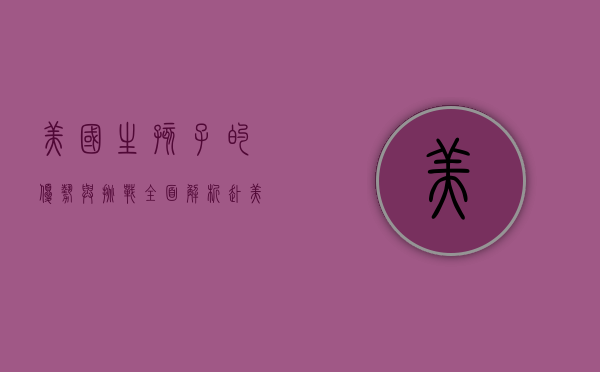 美国生孩子的优势与挑战，全面解析赴美生子的利与弊