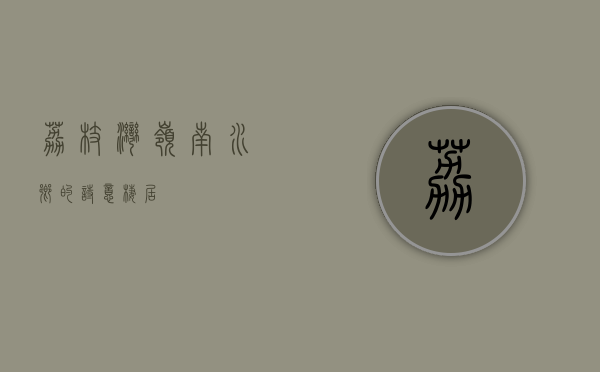 荔枝湾，岭南水乡的诗意栖居