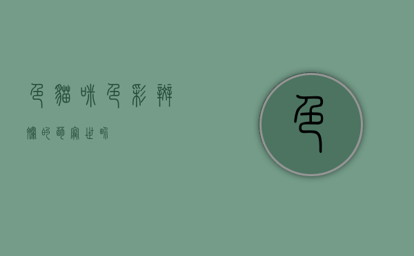 色猫咪，色彩斑斓的萌宠世界