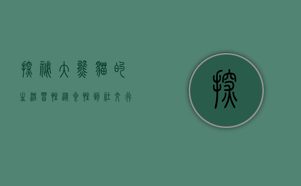 探秘大熊猫的生活习性，从食性到社交行为的全面解析