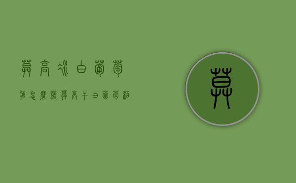 莫高冰白葡萄酒怎么样（莫高干白葡萄酒怎么样）