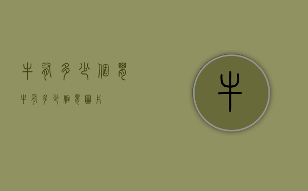 牛有多少个胃（牛有多少个胃图片）