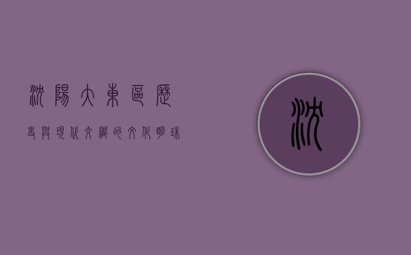 沈阳大东区，历史与现代交织的文化明珠