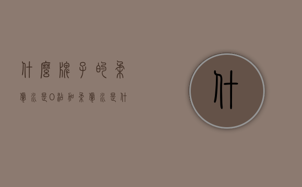 什么牌子的柔肤水是0添加（柔肤水是什么水）