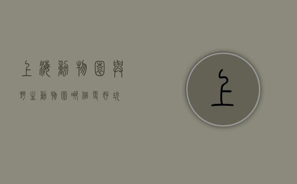上海动物园与野生动物园，哪个更好玩？