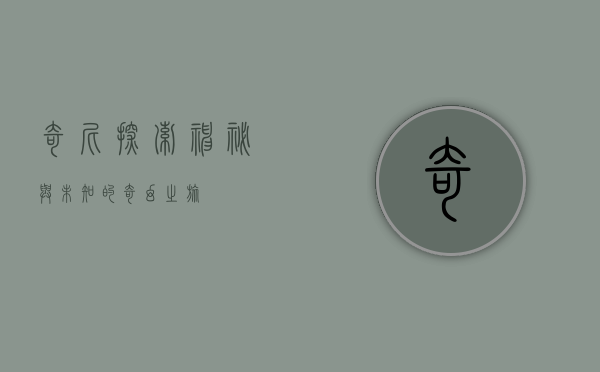 奇尼，探索神秘与未知的奇幻之旅
