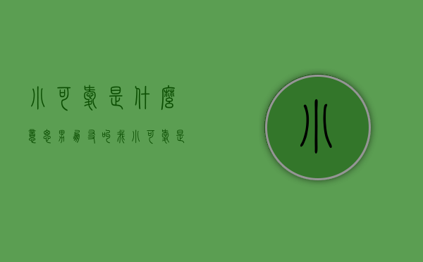 小可爱是什么意思（男朋友叫我小可爱是什么意思）