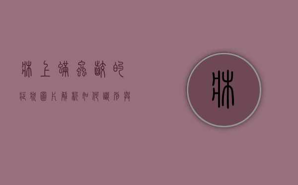 床上螨虫咬的症状图片解析，如何识别与应对螨虫叮咬