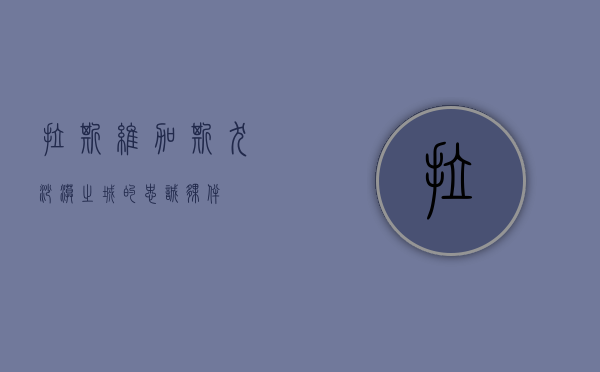 拉斯维加斯犬，沙漠之城的忠诚伙伴