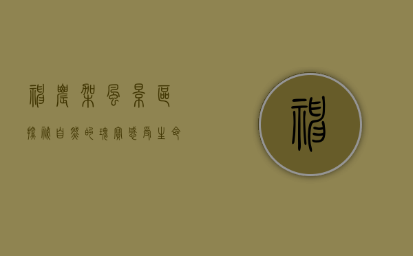 神农架风景区，探秘自然的瑰宝，感受生命的奇迹