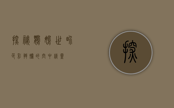 探秘鹦鹉世界，色彩斑斓的空中精灵