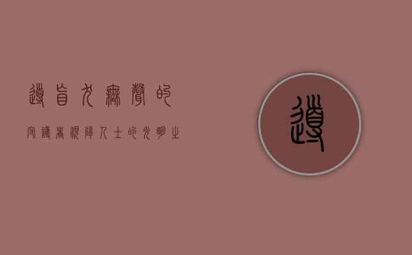 导盲犬，无声的守护者，视障人士的光明之眼