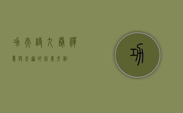 功夫诗九卷，禅意与武道的完美交融