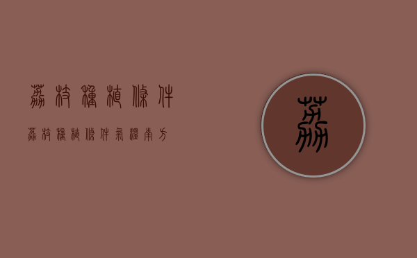荔枝种植条件（荔枝种植条件气温 南方）
