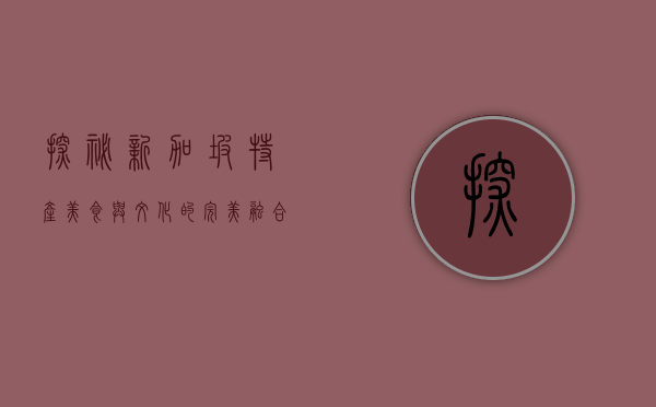 探秘新加坡特产，美食与文化的完美融合