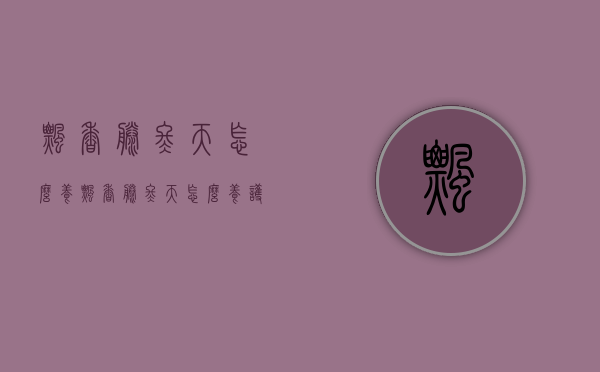 飘香藤冬天怎么养（飘香藤冬天怎么养护和浇水）