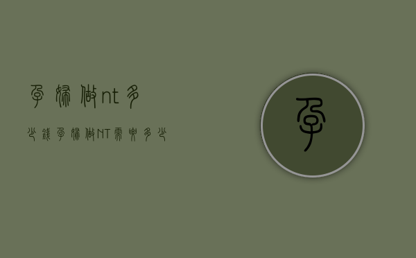 孕妇做nt多少钱（孕妇做NT需要多少钱）