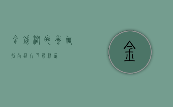金钱树的养殖指南，从入门到精通