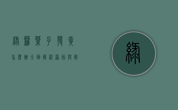 绿萝叶子发黄怎么办？全面解析原因与解决方法