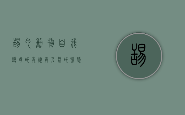 舔毛，动物自我护理的奥秘与人类的情感投射