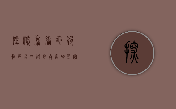 探秘麝香龟，独特的水中精灵与宠物新宠