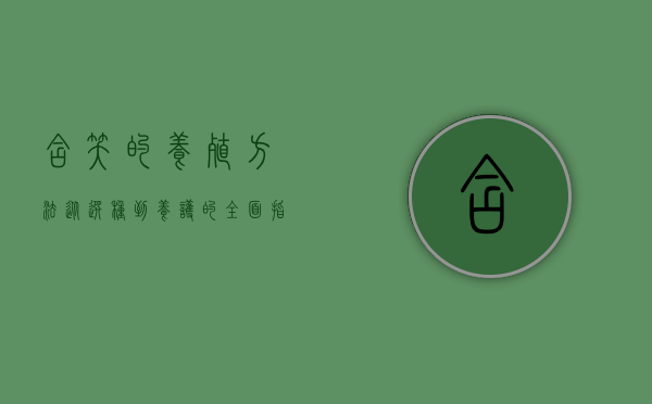 含笑的养殖方法，从选种到养护的全面指南
