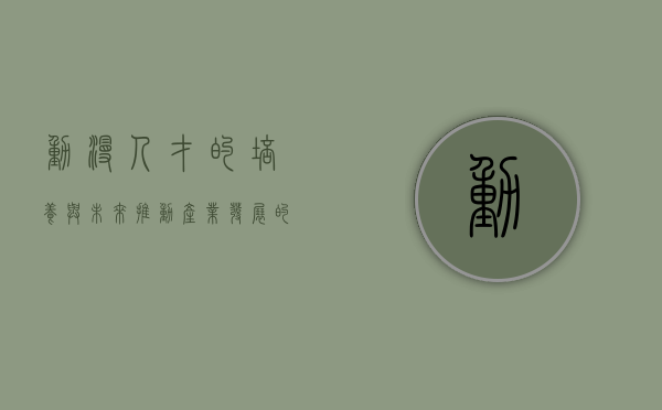 动漫人才的培养与未来，推动产业发展的关键力量
