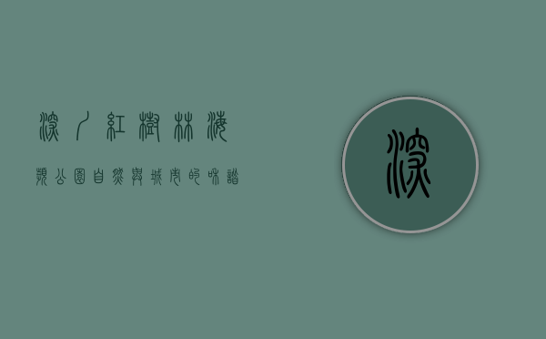 深圳红树林海滨公园，自然与城市的和谐共生