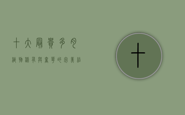 十大最贵多肉植物，稀有与奢华的完美结合