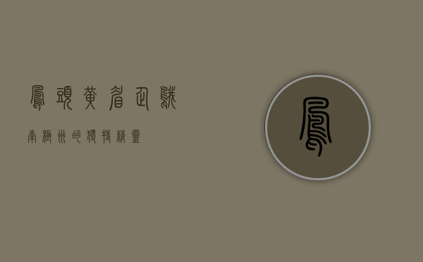 凤头黄眉企鹅，南极洲的独特精灵