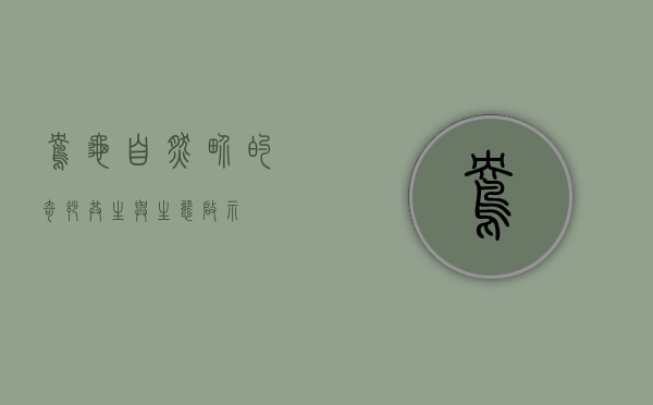 鸯龟，自然界的奇妙共生与生态启示
