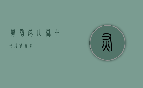 灰卷尾，山林中的优雅舞者