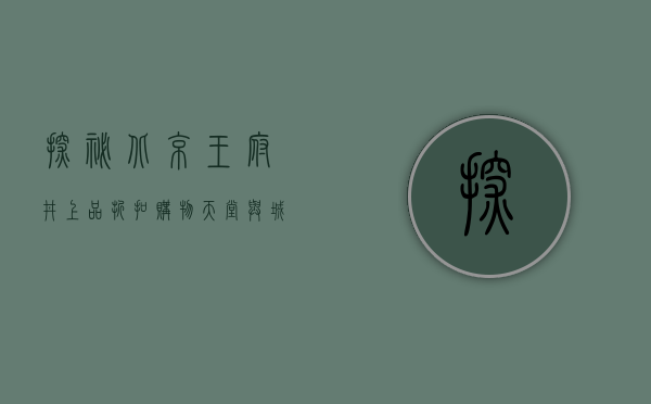 探秘北京王府井上品折扣，购物天堂与城市文化的完美融合