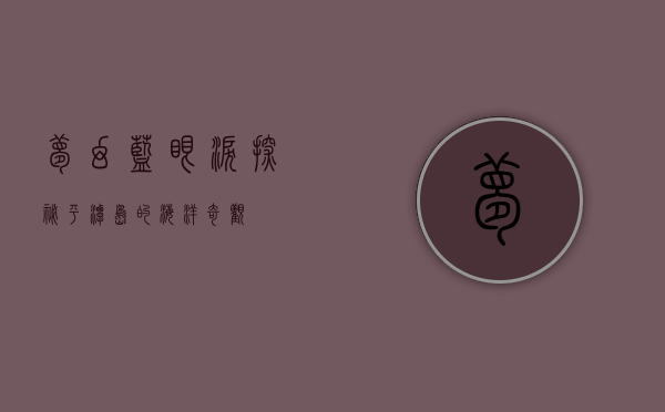 梦幻蓝眼泪，探秘平潭岛的海洋奇观