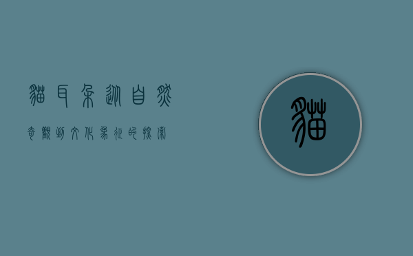 猫耳朵，从自然奇观到文化象征的探索