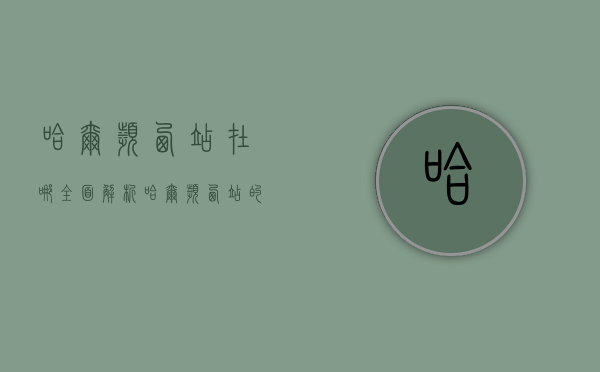 哈尔滨西站在哪？全面解析哈尔滨西站的位置及交通指南