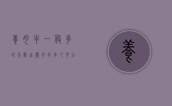 养肉牛一般多少天能出栏（肉牛多久可以出栏）